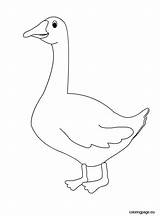Coloring Pages Goosebumps Slappy Goose Animal Getcolorings Printable Farm Colouring Choose Board sketch template
