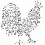 Coloring Rooster Adult Pages Zentangle Stylized Outline Chicken Cock Drawing Adults Illustration Cartoon Stock Tattoo Print Sketch Printable Chickens Etsy sketch template