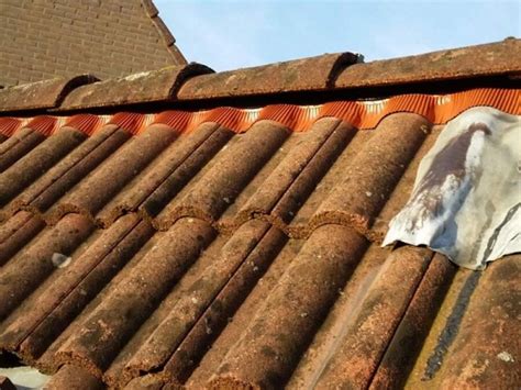 dakpannen dakwerken cadema dakwerken zijn expert  dakbedekking dakonderhoud lood en zink