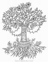 Coloring Tree Life Pages Olive Adult Drawing Printable Simple Coloringgarden Pecan Adults Color Mandala Drawings Celtic Template Book Print Getcolorings sketch template
