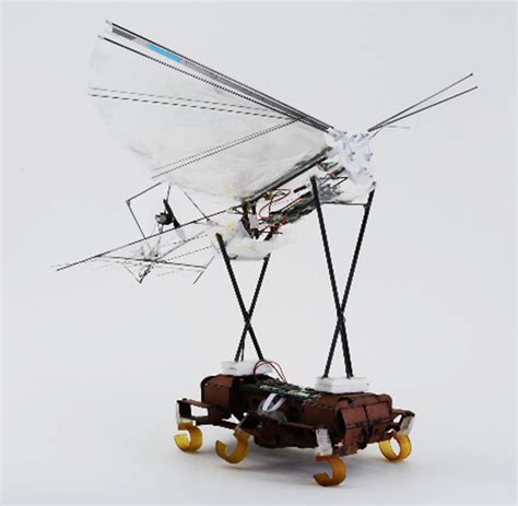 ornithopter project