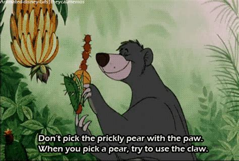 jungle book best movie ever find and share on giphy
