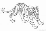 Tigre Ausmalbilder Imprimir Bebe Paginas Cool2bkids sketch template