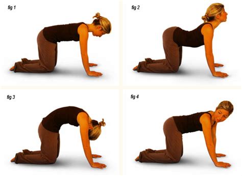 Simple Yoga Poses Med