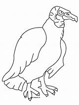 Vulture Coloring Pages Drawing Bird Turkey Printable Getdrawings Color Dessin Coloriage Print sketch template