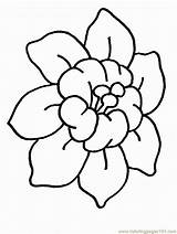 Coloring Flower Printable Sheets Library Clipart Illinois Draw State Easy Flowers sketch template