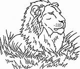 Savanna Coloring Pages Grassland Animals Lion Clipart Grasslands Drawings African Animal Color Library Popular Coloringhome Gif Comments Clip Wild sketch template