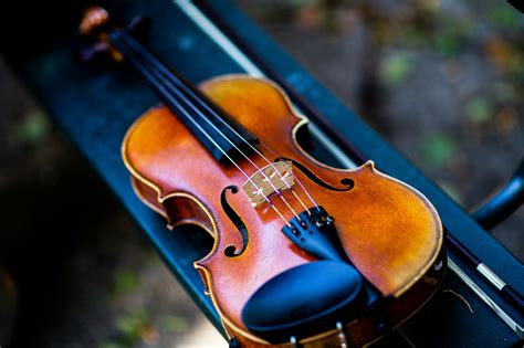 foto de primer plano de violin foto de stock gratuita