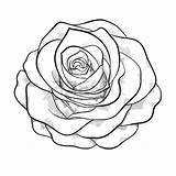 Outline Rose Drawing Roses Easy Simple Line Bud Outlines Clipart Drawings Realistic Marvellous Tattoo Clip Clipartmag Getdrawings Kid Clipartix Tutorial sketch template