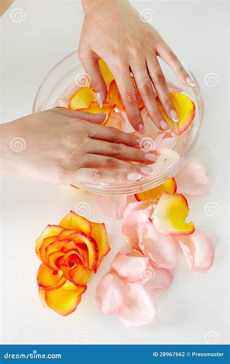 nail spa stock photo image  beautiful pleasure delicate