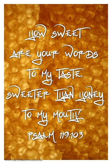 sweet words scripture pinterest