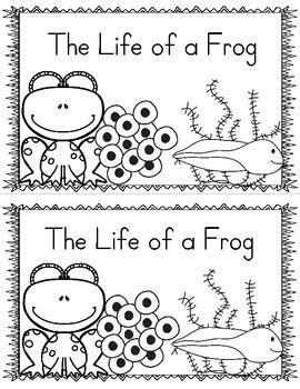 images  frogs  pinterest leap day frog life cycles