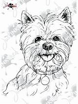 Coloring Yorkie Pages Westie Color Getcolorings Terrier Printable Print Head Highland West Getdrawings sketch template