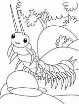 Centipede Coloring Pages Ramp Trying Walk Kids Colouring Insect Printable Bug Ladybug Drawing Books Bestcoloringpages Butterfly Flower Sheets Choose Board sketch template