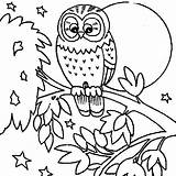 Owl Eule Ausmalbilder Malvorlage Owls Tiere Getdrawings Ausmalbildervorlagen sketch template