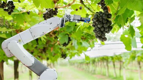 fully automated farm  robots  artificial