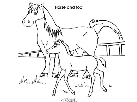 coloring pages  horses  foals  getcoloringscom  printable