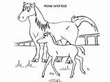 Baby Coloring Pages Horses Foals Animals Printable Getcolorings Color Getdrawings sketch template