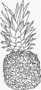 Pineapple Coloring Printable Adult Pages Etsy Colouring Instant Sheets sketch template