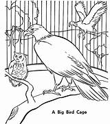 Cage Bird Coloring Big Pages sketch template