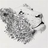 Lioness Tattoo Tattoos Lion Drawing Half Flowers Head Drawings Mandala Floral Google Animal Print Framed Female Nice Auf König Zu sketch template
