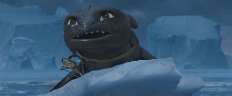 pictures  httyd    train  dragon photo