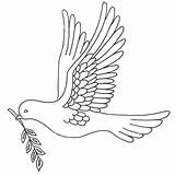 Dove Olive Outline Branch Embroidery Drawing Flickr Peace Christmas Coloring Bird Redwork Doves Patterns Designs Pages Getdrawings Artex Set Cute sketch template