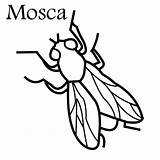 Mosca sketch template
