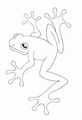 Toad Coloringbay sketch template