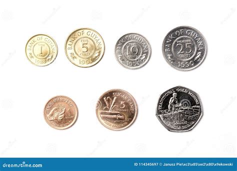 muntstukken van guyana stock afbeelding image  muntstuk