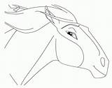 Spirit Coloring Stallion Cimarron Horse Pages Rain Drawing Drawings Sketches Easy Lineart Draw Deviantart Animals Popular Coloringhome Getdrawings Comments Library sketch template