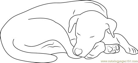 sleeping dog coloring page  dog coloring pages