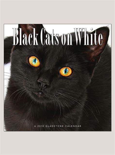 2018 black cats on white 12 x 12 wall calendar black
