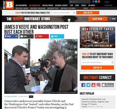 project veritas busted   pundits  defending