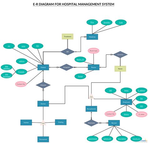 er diagram tutorial complete guide  entity relationship ermodelexamplecom