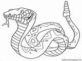 Dangerous Animals Coloring Snakes Rattlesnake Coloringbay sketch template