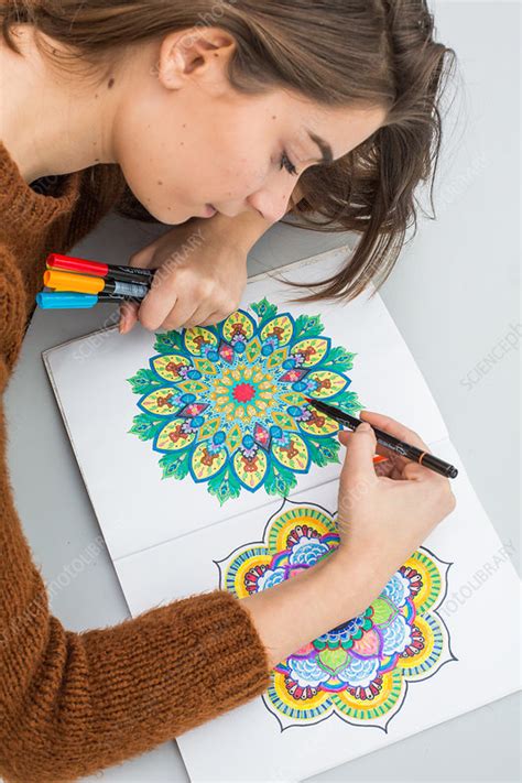 woman colouring  mandala stock image  science photo library