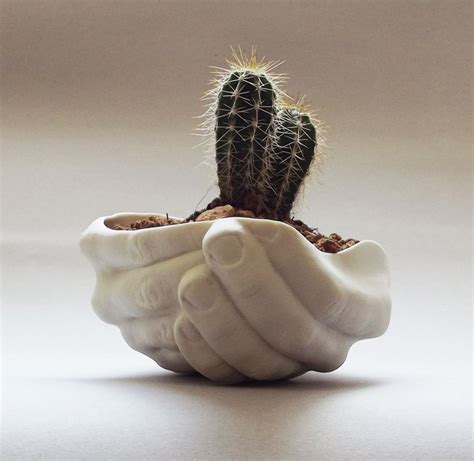 i più originali vasi e piante in miniatura e non solo