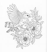 Coloring Pages Nature Adult Harmony Bird Printable Drawing Book Animal Color Print Colouring Adults Flower Sheets Pg Books Drawings Getcolorings sketch template