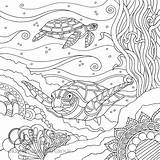 Coloring Colouring Books Pages sketch template