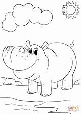 Hippo Coloring Cartoon Baby Kids Pages Cute Hippopotamus Printable Drawing Template Mammals Templates sketch template