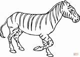 Zebra Coloring Pages Zebras Baby Kids Color Super Printable Clipart Drawing Supercoloring Gif Cute Mammals sketch template