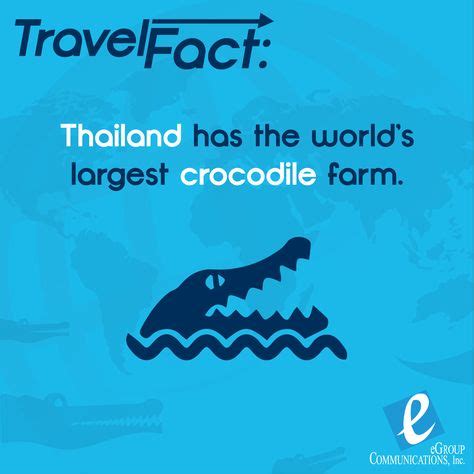 travel facts images facts travel global mobile