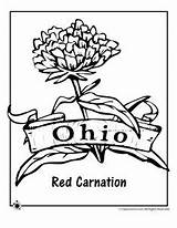 Flower State Coloring Pages Ohio Jr Classroom sketch template