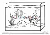 Colouring Aquarium Pages Animal Pet Animals Village Activity Explore sketch template