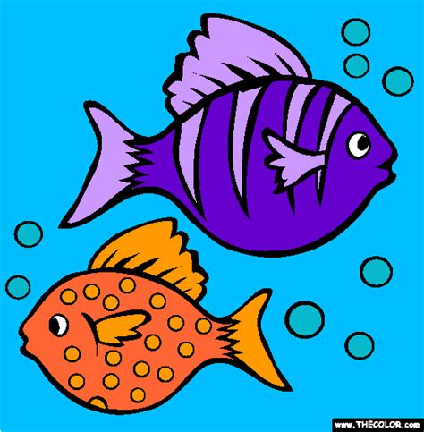 fish  wwwthecolorcom fish coloring page simple car drawing