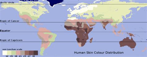 human skin color psychology wiki fandom powered by wikia