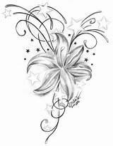 Tatuaggi Lily Lilly Lilies Cool Swirls Precedente Stargazer Koi Lillies Hawaiian Forearm Lilys sketch template