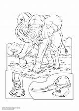 Elephant Coloring Large sketch template