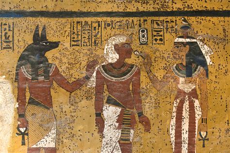 Tut Tut Microbial Growth In Pharaoh S Tomb Suggests